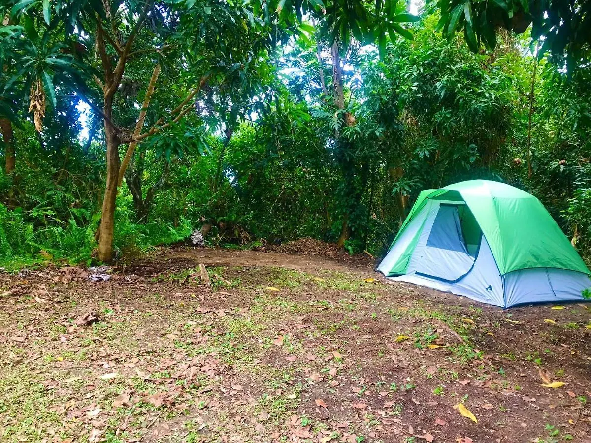 Jubilee Campsite Swim & Paint Las Piedras