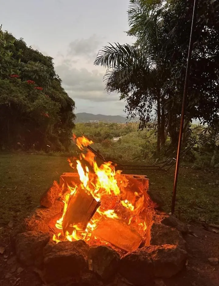 Jubilee Campsite Swim & Paint Las Piedras Puerto Rico
